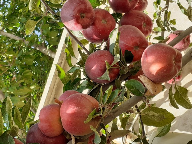 فروش خانه ویلایی در روستای وشنوه