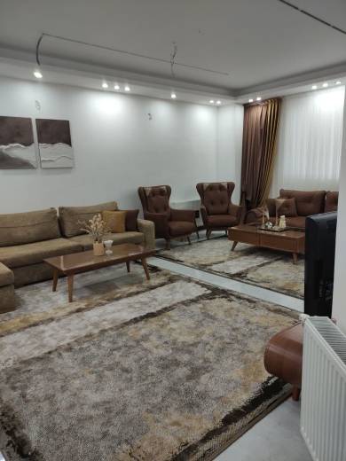 زیتون 19