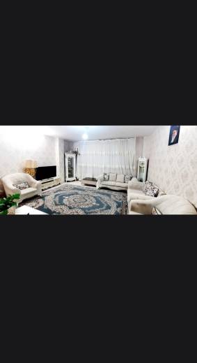 زیتون ۲