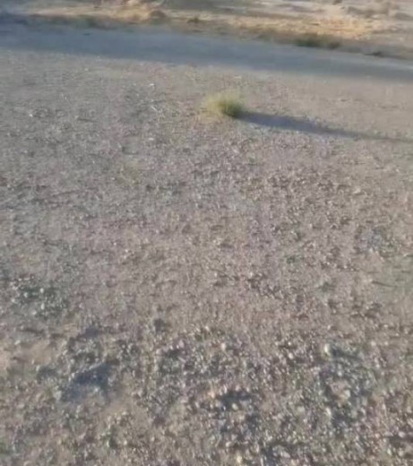 زمین