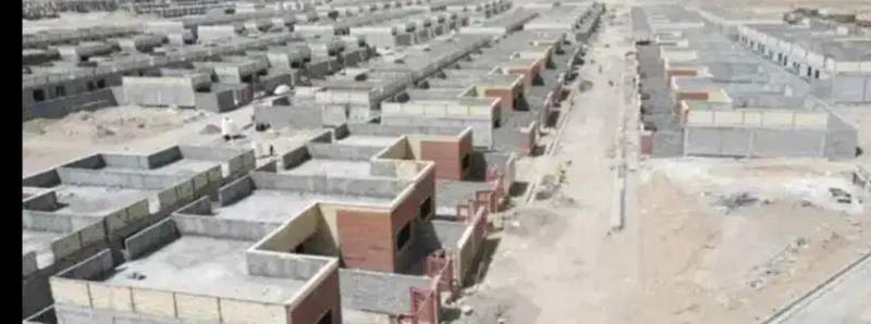 فیش زمین انفرادی پرنیان