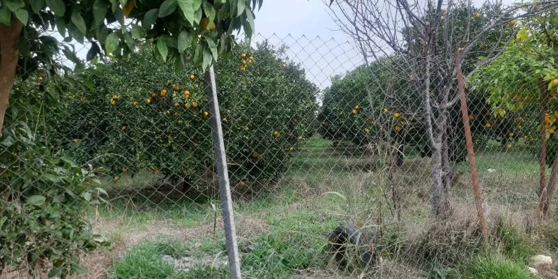 زمین بر خیابان دارای تجاری ۲۰۳ متری