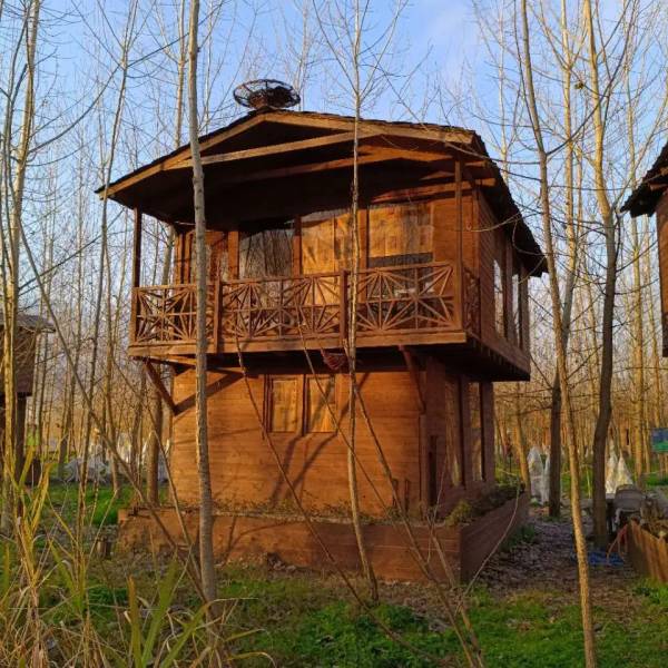 یک شروع تازه در یک جای خاص