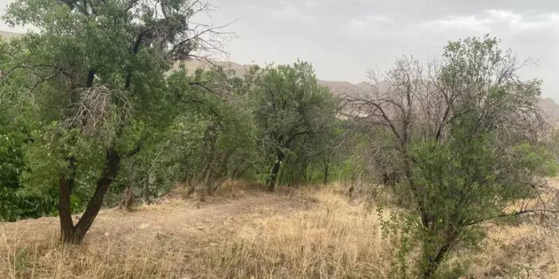 زمین قیمت مناسب