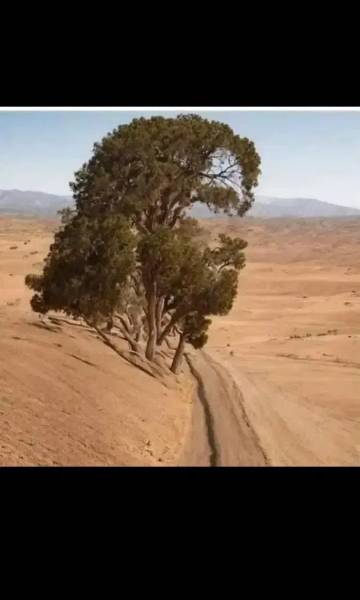 زمین شهرک پرنیان تحویل گرفته شد شهرک پرنیان