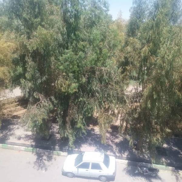 واحد ۱۲۰ متر دو نبش تک واحدی