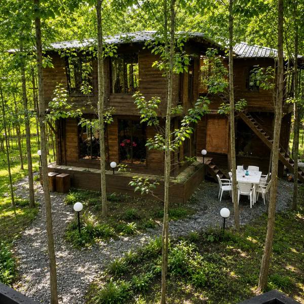 مقصدی برای زندگی متفاوت