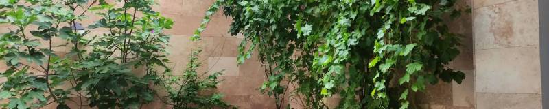 ویلایی دوطبقه رو پیلوت با آسانسور