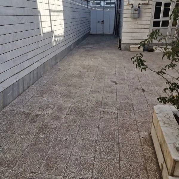 زیرزمین پرنور وگلخانه ای