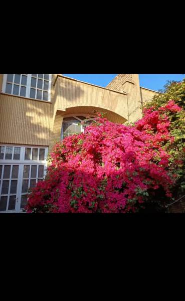 عماریاسر ۱۰۶ متر دو طبقه ویلایی شمالی