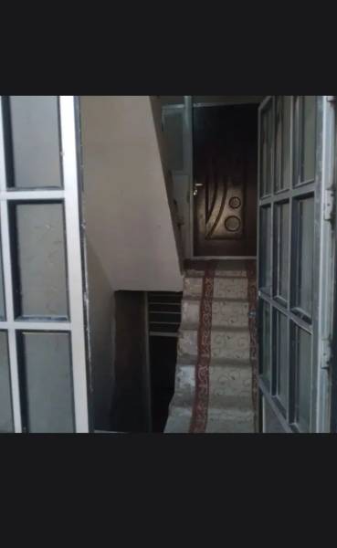 ۱۱۳متر تک برگ