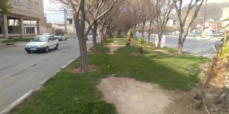 فیش تک خواب شهید رییسی