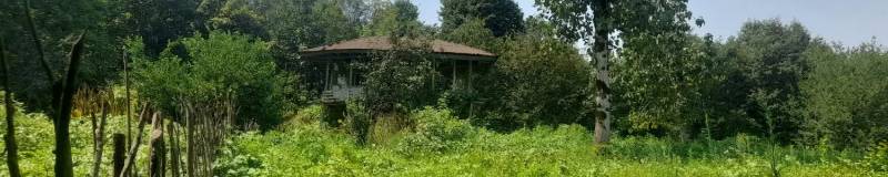 خانه و محوطه در دل طبیعت