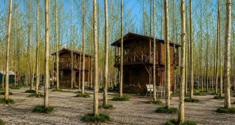 ویلای جزیره بالی در ایران