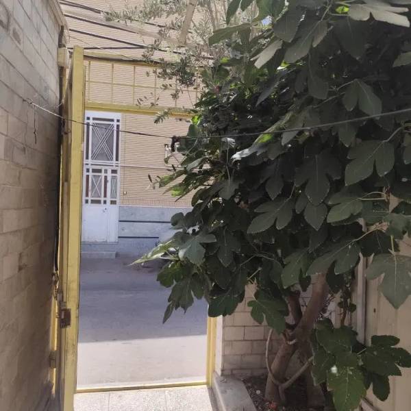 زیرزمین تمیز رهن و اجاره