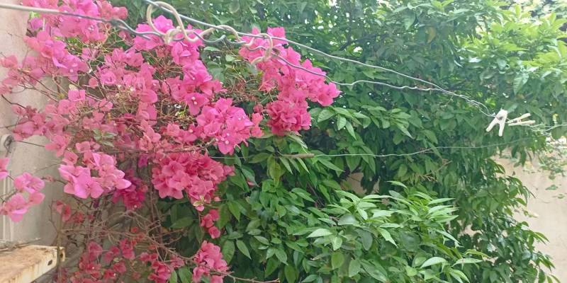 فروش ویلایی در جوادالائمه