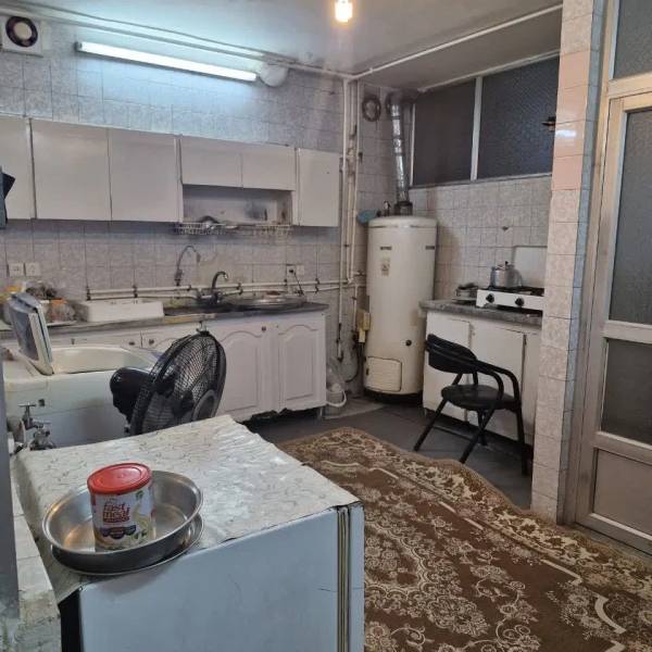 زیرزمین پرنور وگلخانه ای