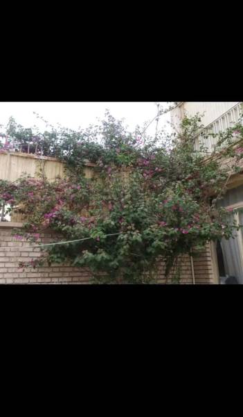 خانه فروشی 178متری دو طبقه جعفرطیار 25