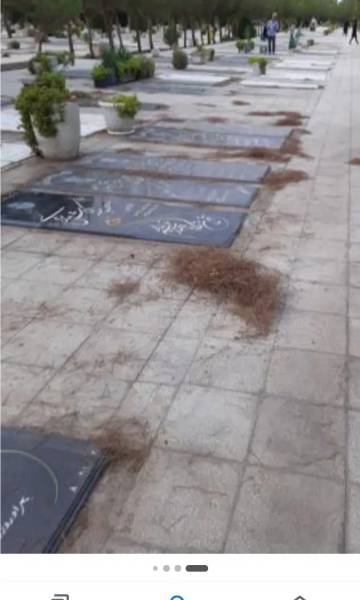 فروش  ۲ قطعه قبر در بهشت معصومه