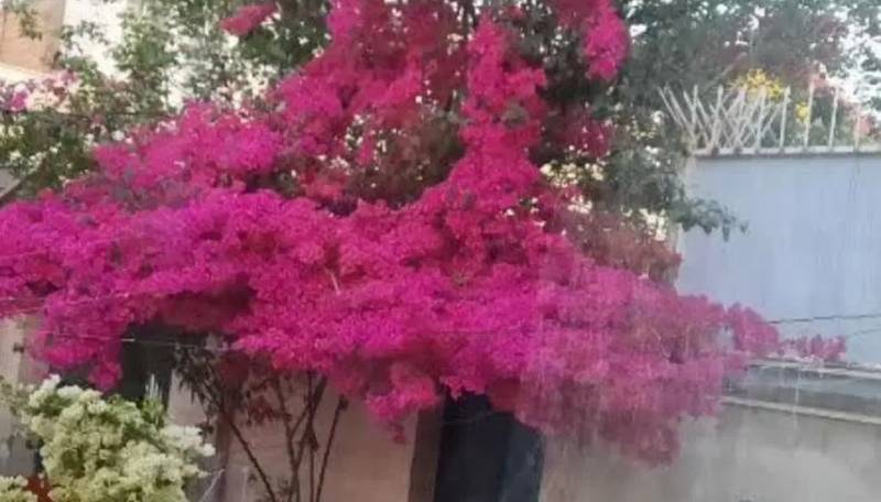 اجاره طبقه زیر زمینی دو خوابه