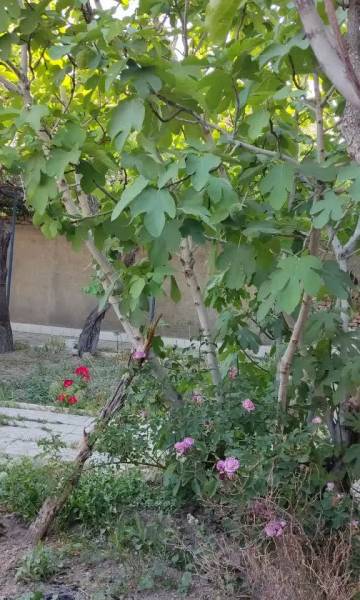 منزل ویلایی در شهر خوش آب و هوا ...تفرش