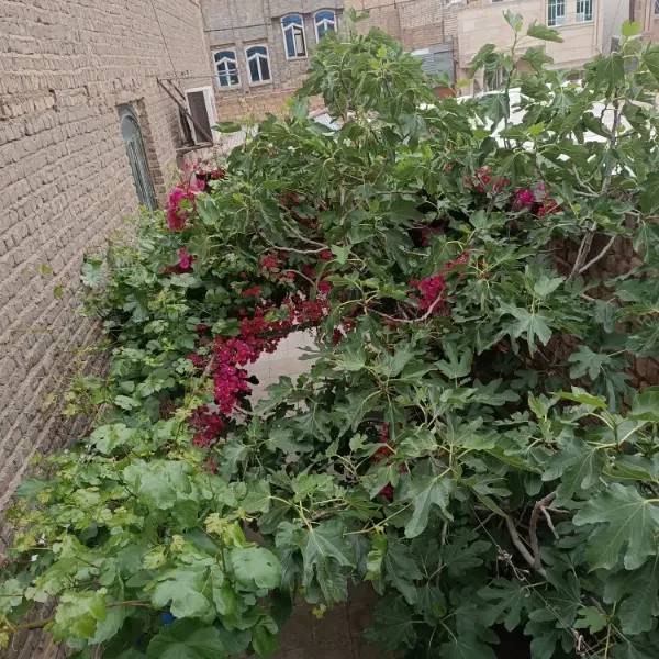 دو طبقه ویلایی