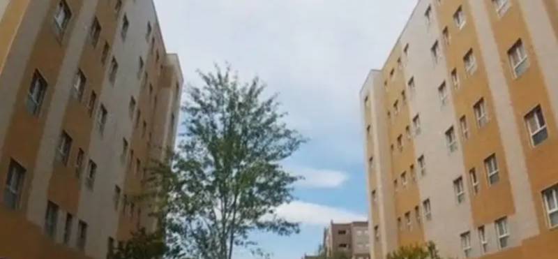 تک خواب سند تک برگ
